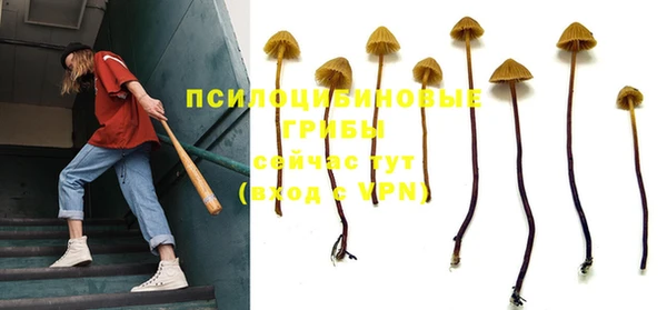 соль ск Заволжье