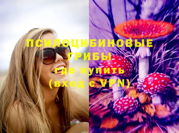 спиды Зерноград