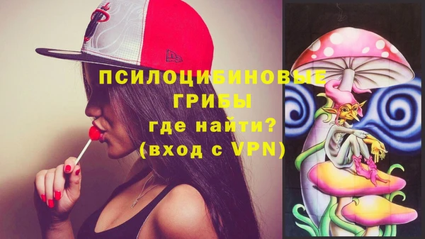 молекула духа Заволжск