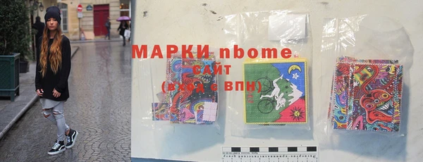 гидра Зеленодольск