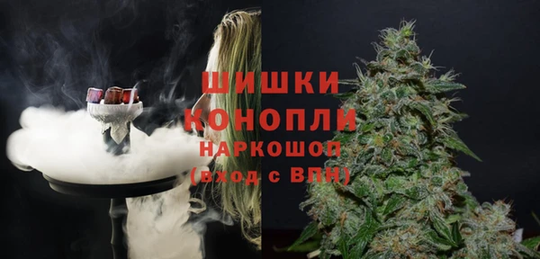 ГАЛЛЮЦИНОГЕННЫЕ ГРИБЫ Протвино